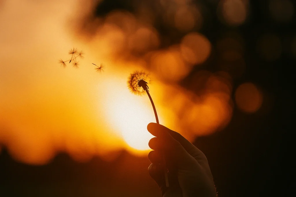 Main ouverte sous la lumière du matin, rappelant la possibilité d’un renouveau intérieur dans le chemin du deuil.